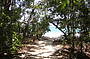 Go Wild 3 Day/2 Night @ Cape Trib Beach House (Dorm Share)