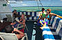 7 Day Cod Hole, Ribbon Reefs & Coral Sea Double/Twin ( Monday Departure )